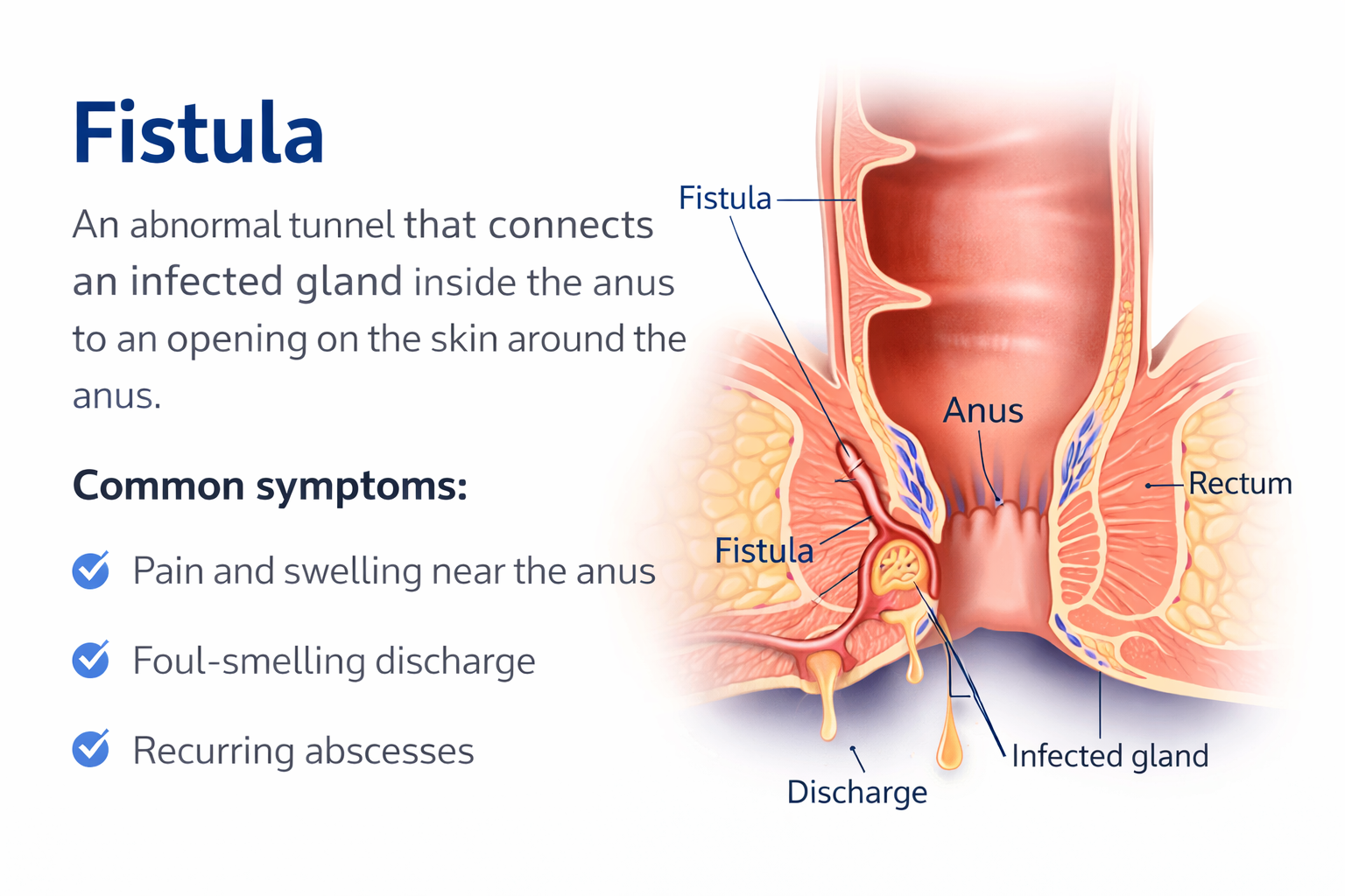 Complete Healthcare Support